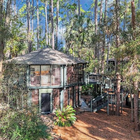 فيلا A Magical Treehouse By The Sea! هيلتون رئيس جزيرة المظهر الخارجي الصورة