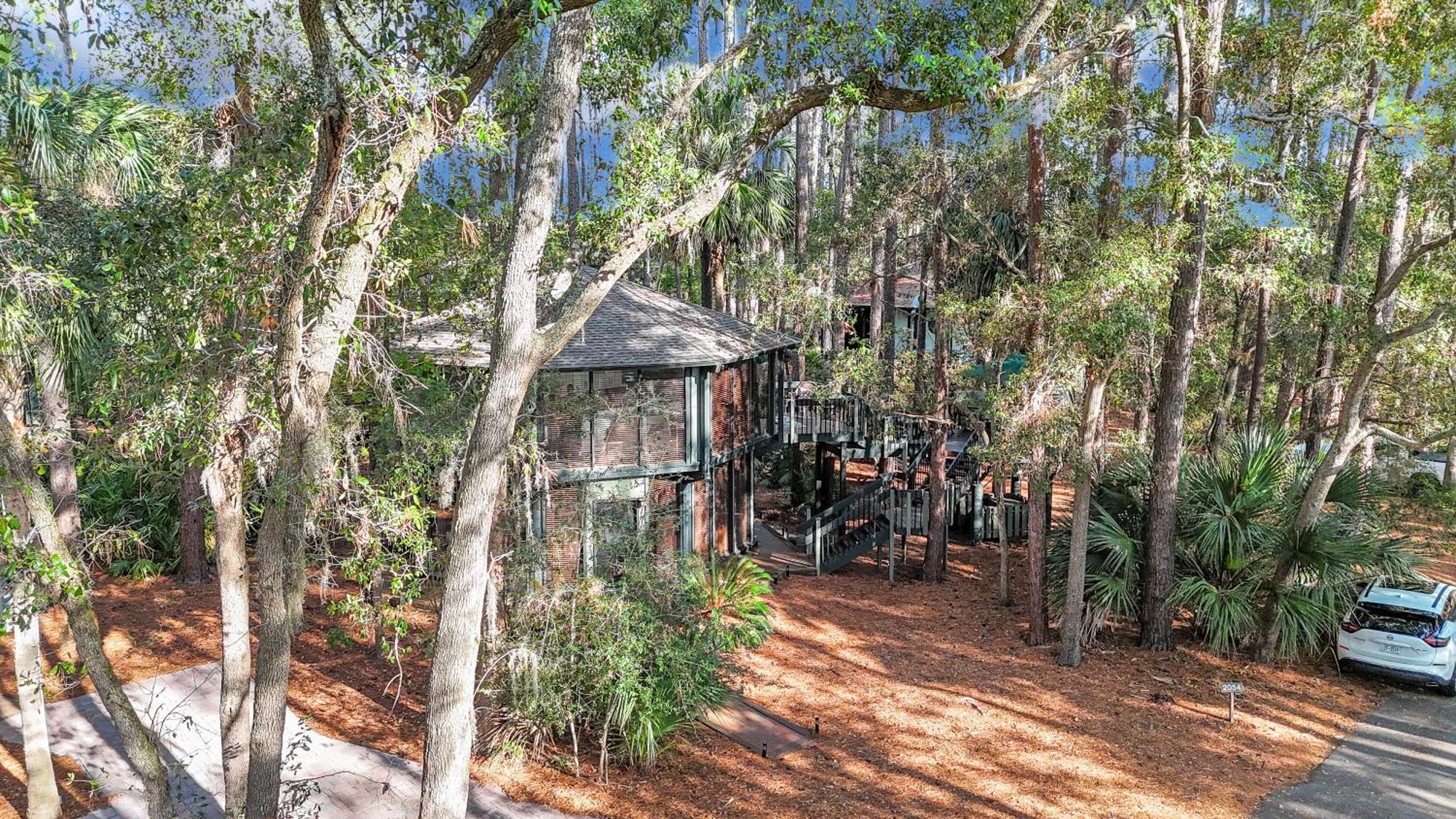 فيلا A Magical Treehouse By The Sea! هيلتون رئيس جزيرة المظهر الخارجي الصورة