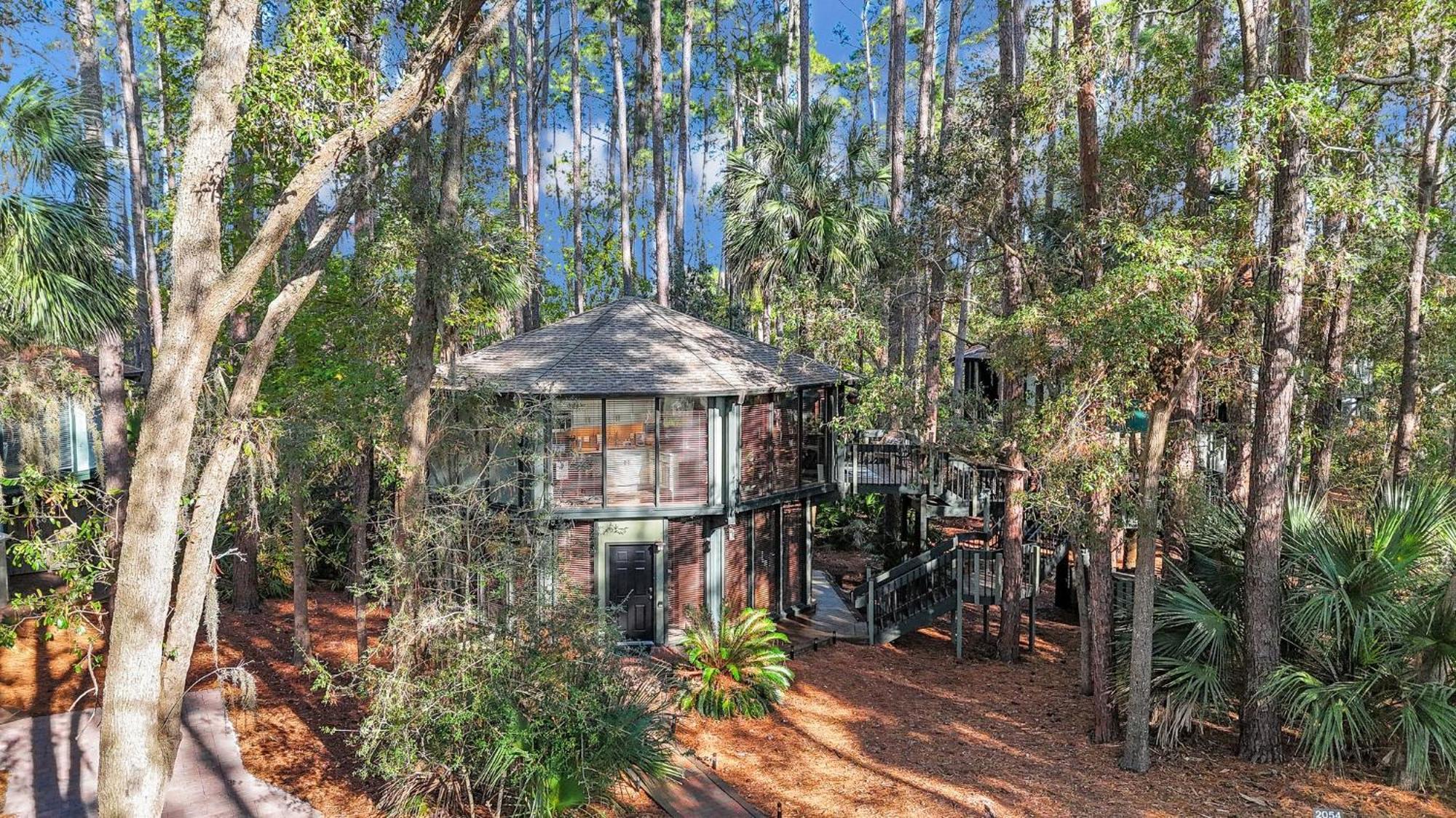 فيلا A Magical Treehouse By The Sea! هيلتون رئيس جزيرة المظهر الخارجي الصورة