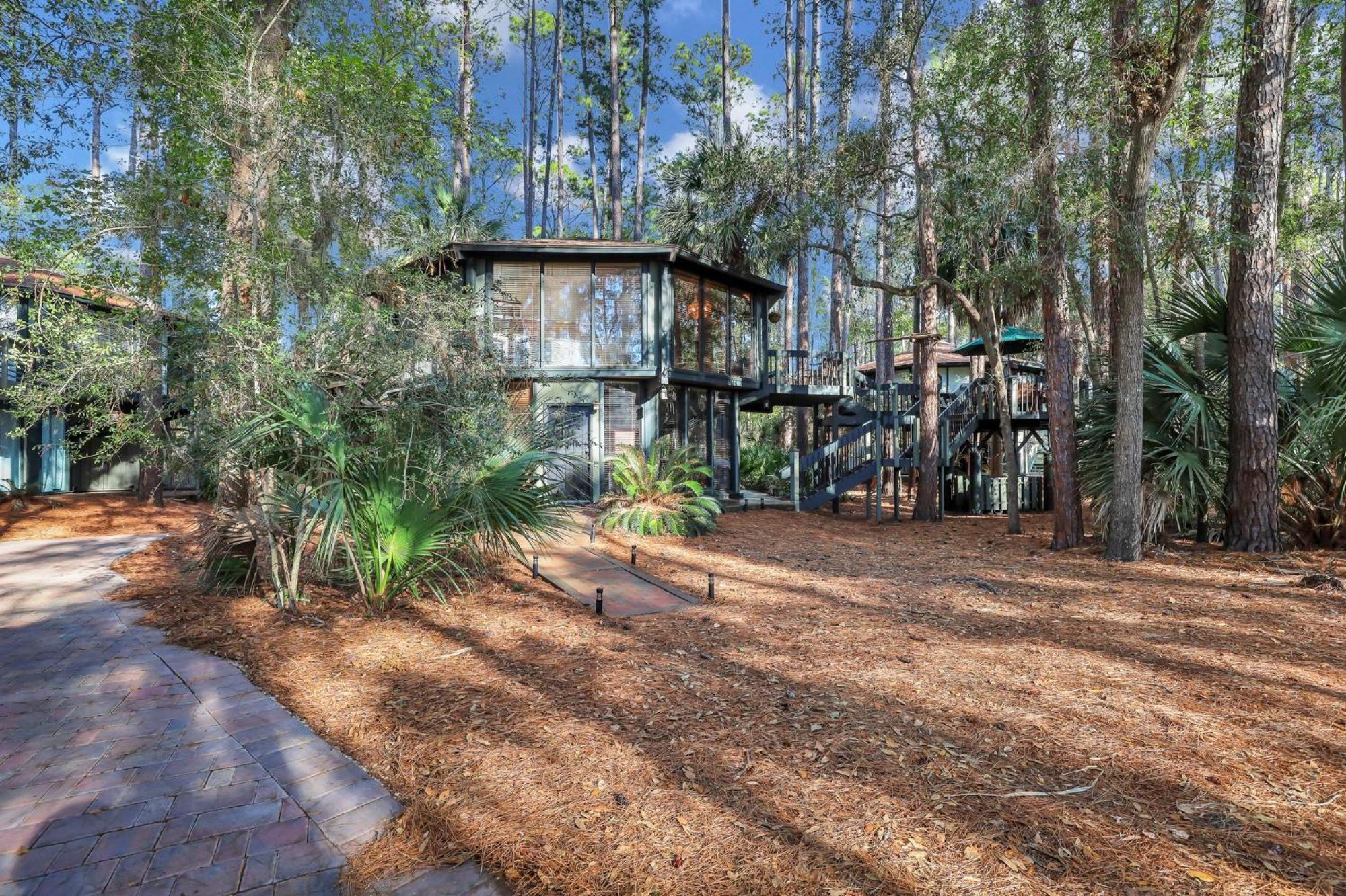 فيلا A Magical Treehouse By The Sea! هيلتون رئيس جزيرة المظهر الخارجي الصورة